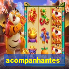 acompanhantes chamadas de video